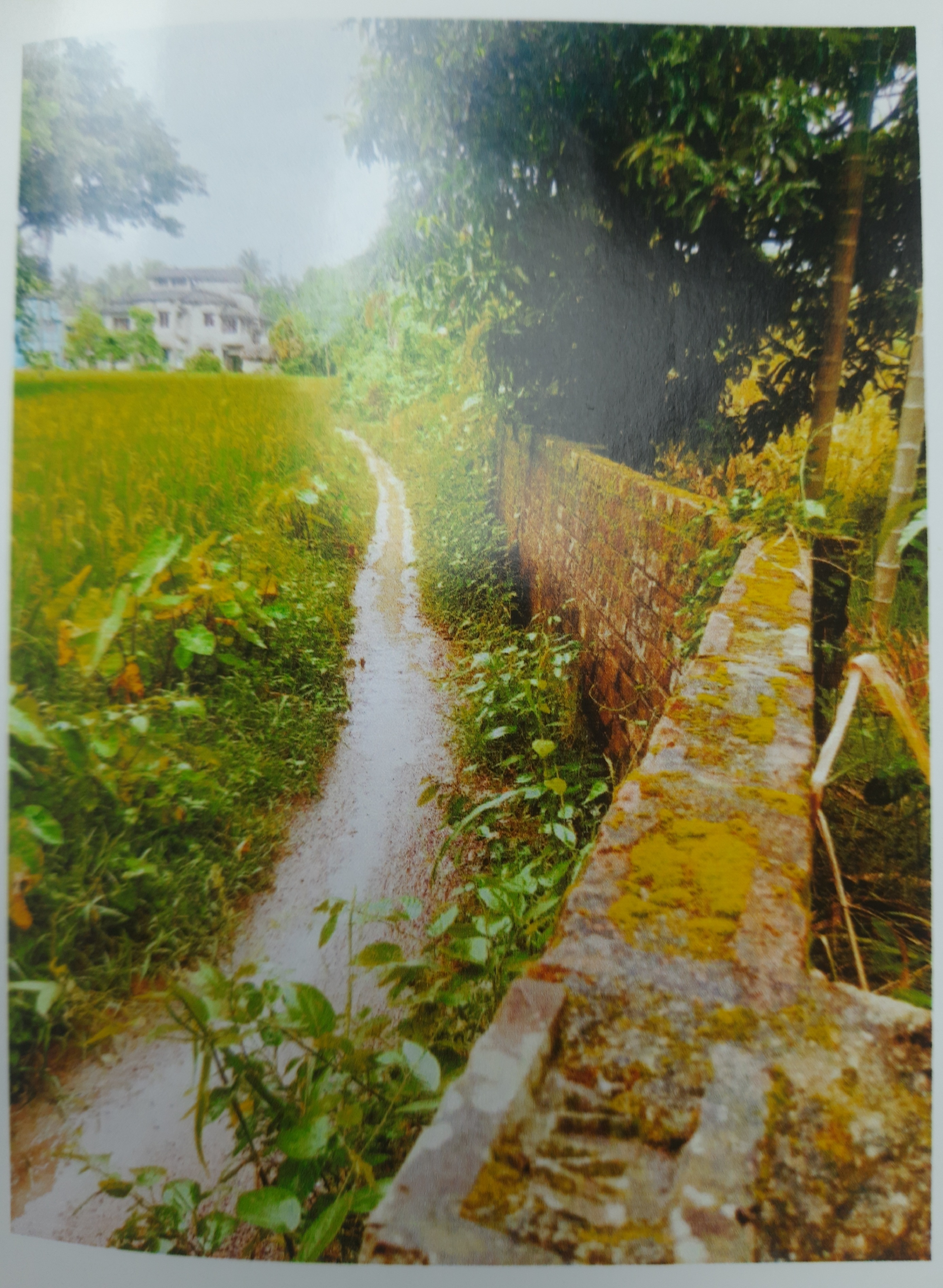 OTHER for sale in Haldia