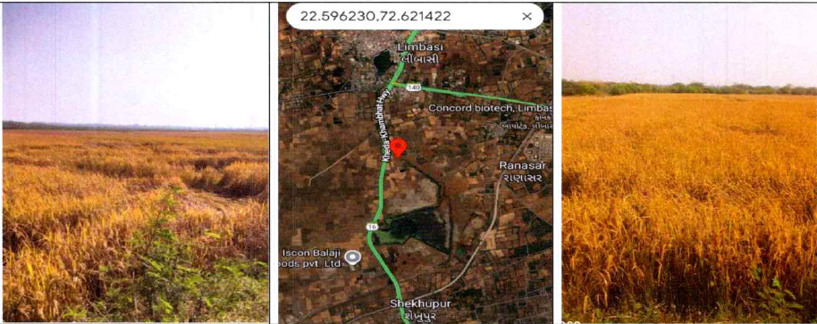 1922 square meter Agriculture Land for sale in VILLAGE LIMBASHI, TALUKA MATAR, DISTRICT KHEDA Limbasi — photo 1