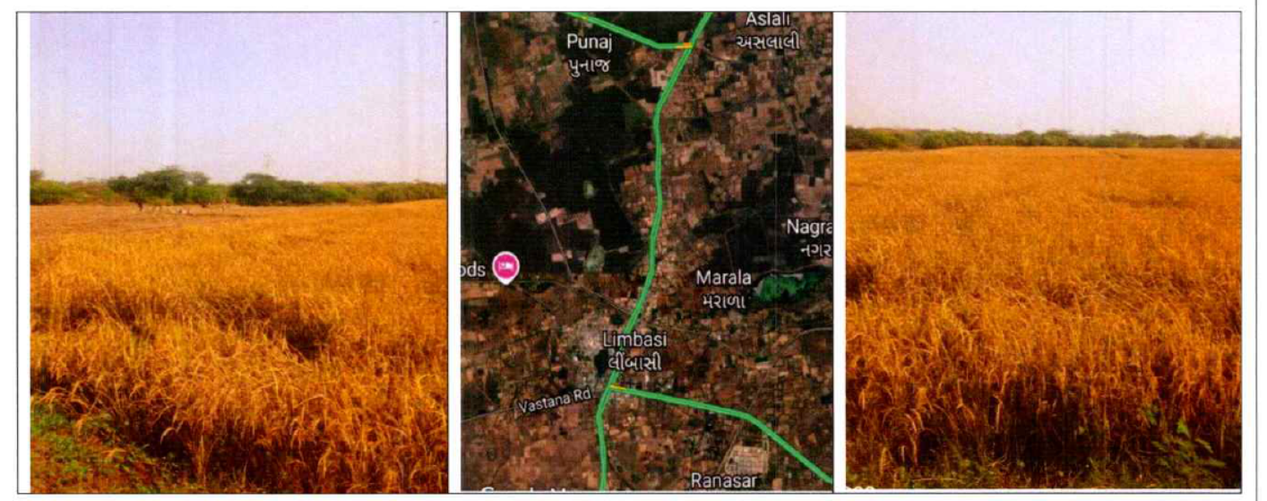 2023 square meter Agriculture Land for sale in SURVEY NO 1009, KHATA NO 2344 AREA IN HECT 0-20-23 VILLAGE LIMBASI TALUKA MATAR KHEDA Limbasi — photo 1