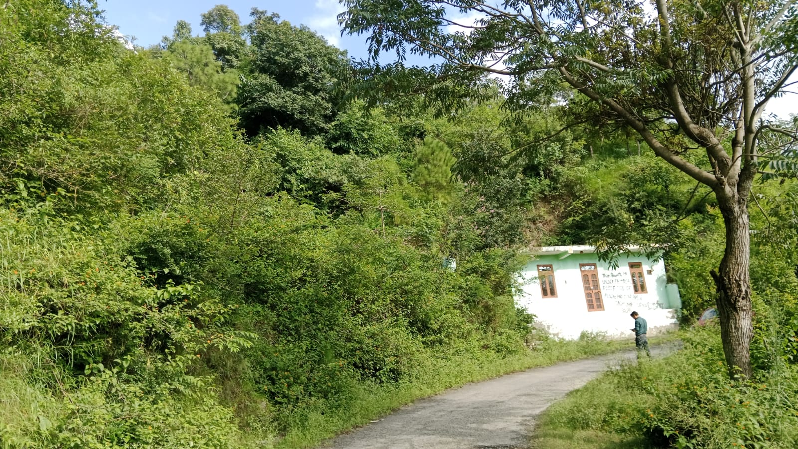 LAND AND BUILDING for sale in DEOTHI SOLAN Solan — photo 2