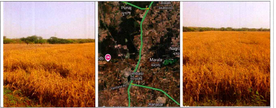 3946 square meter Agriculture Land for sale in SURVEY NO 1014 KHATA NO 2343 AREA OF LAND IN HECT 0-39-46 AT VILL LIMBASI, DISTT KHEDA Limbasi — photo 1