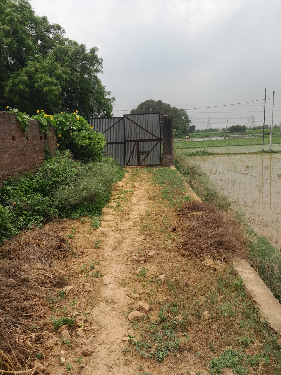 5227 square feet Plot for sale in Kudra