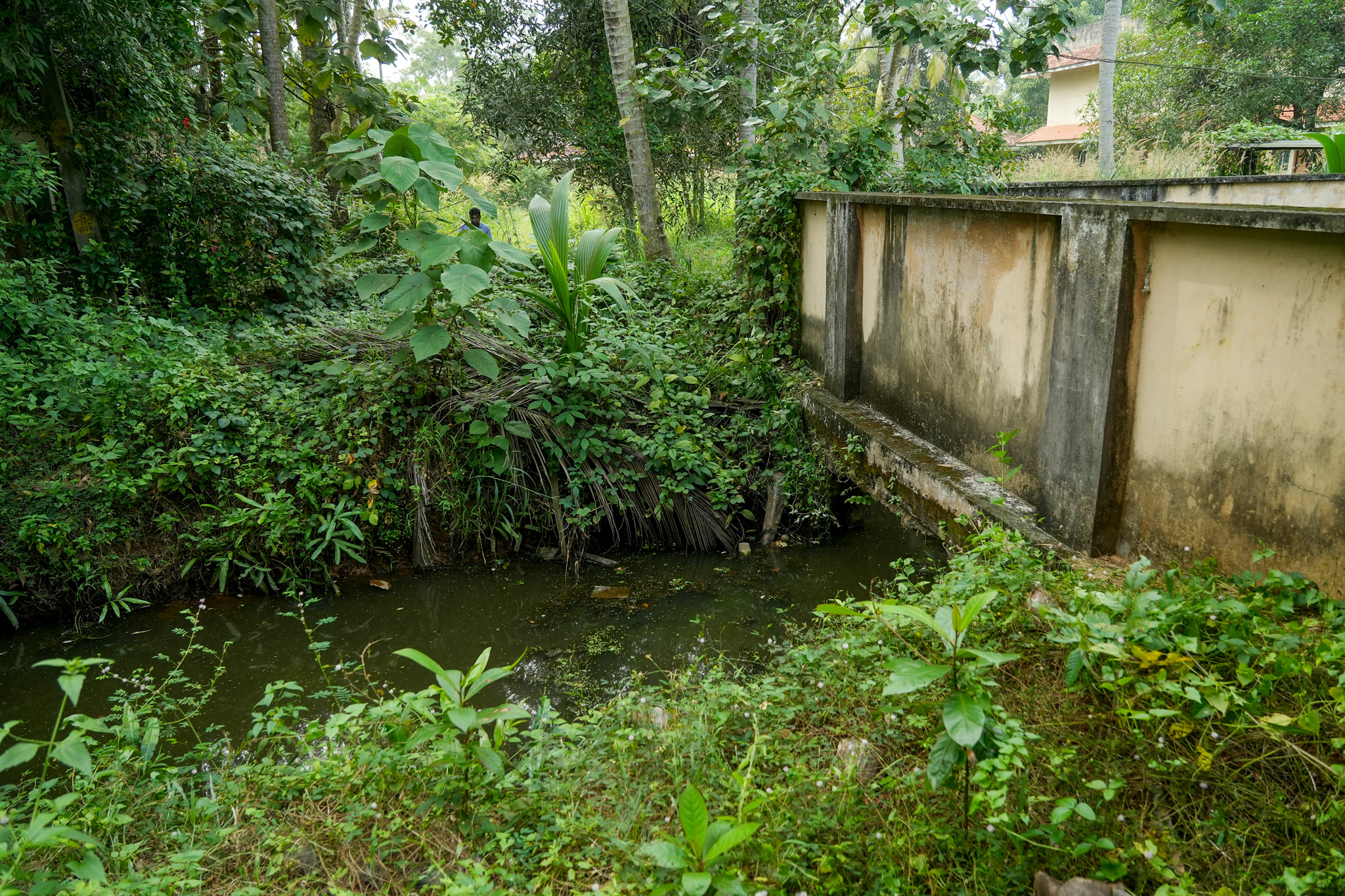 Farm House for sale in Chingoli Vllage, Karthikapally, Alappuzha Cheppad — photo 11