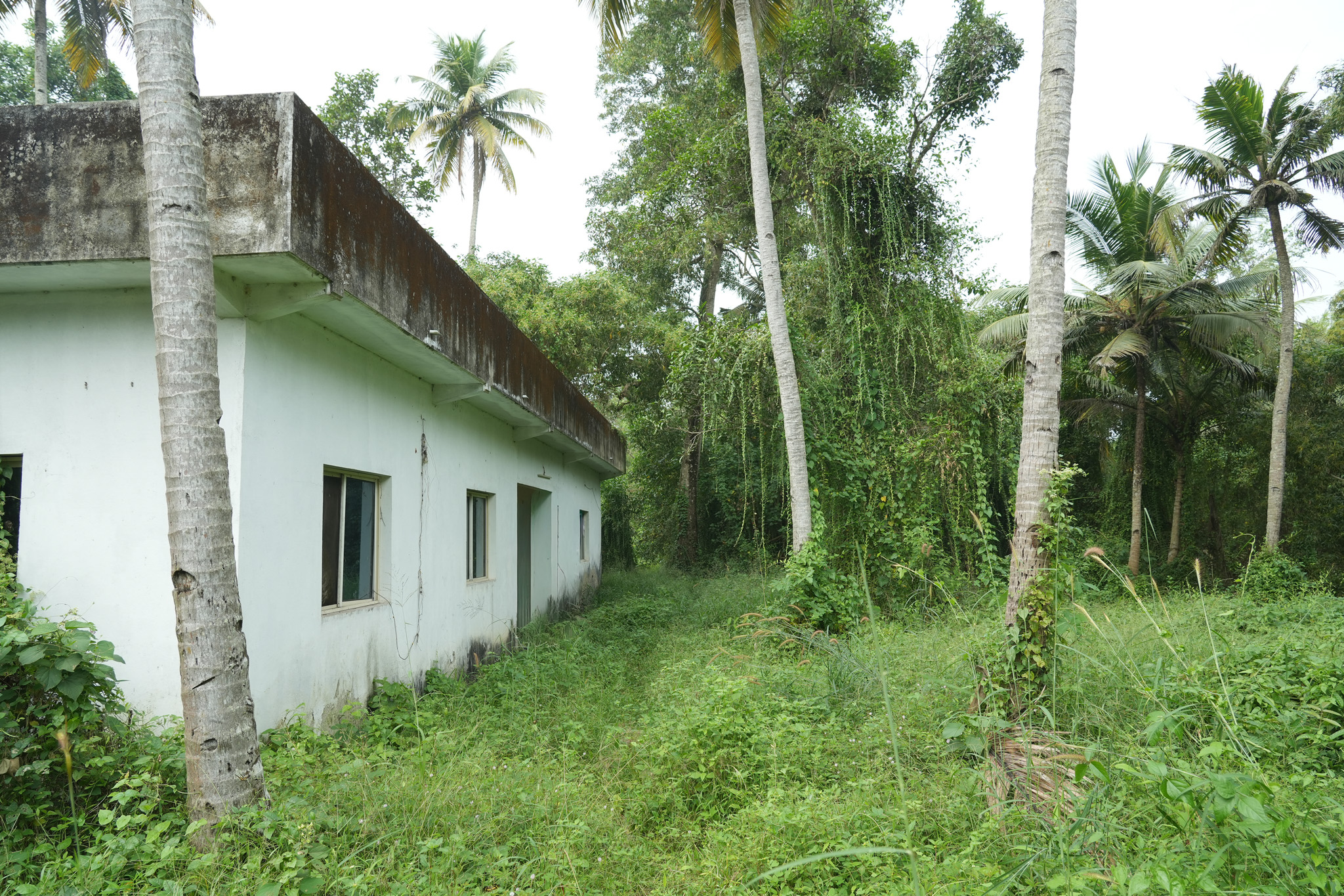 Farm House for sale in Chingoli Vllage, Karthikapally, Alappuzha Cheppad