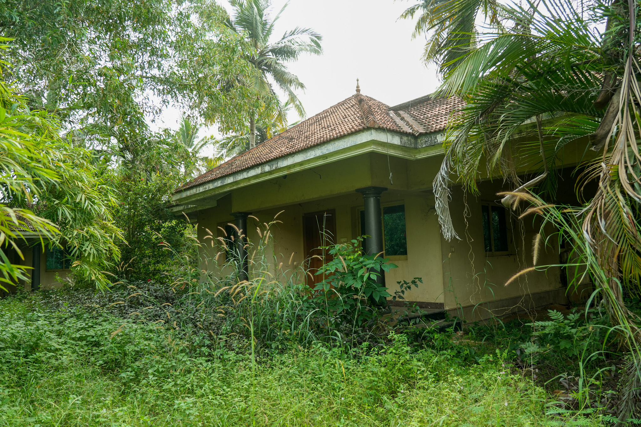 Farm House for sale in Chingoli Vllage, Karthikapally, Alappuzha Cheppad — photo 4