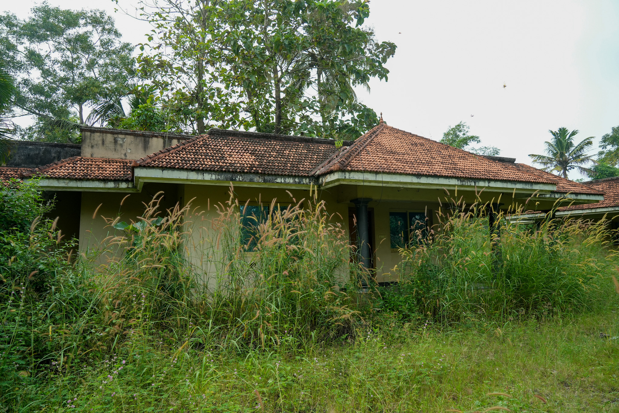 Farm House for sale in Chingoli Vllage, Karthikapally, Alappuzha Cheppad — photo 2