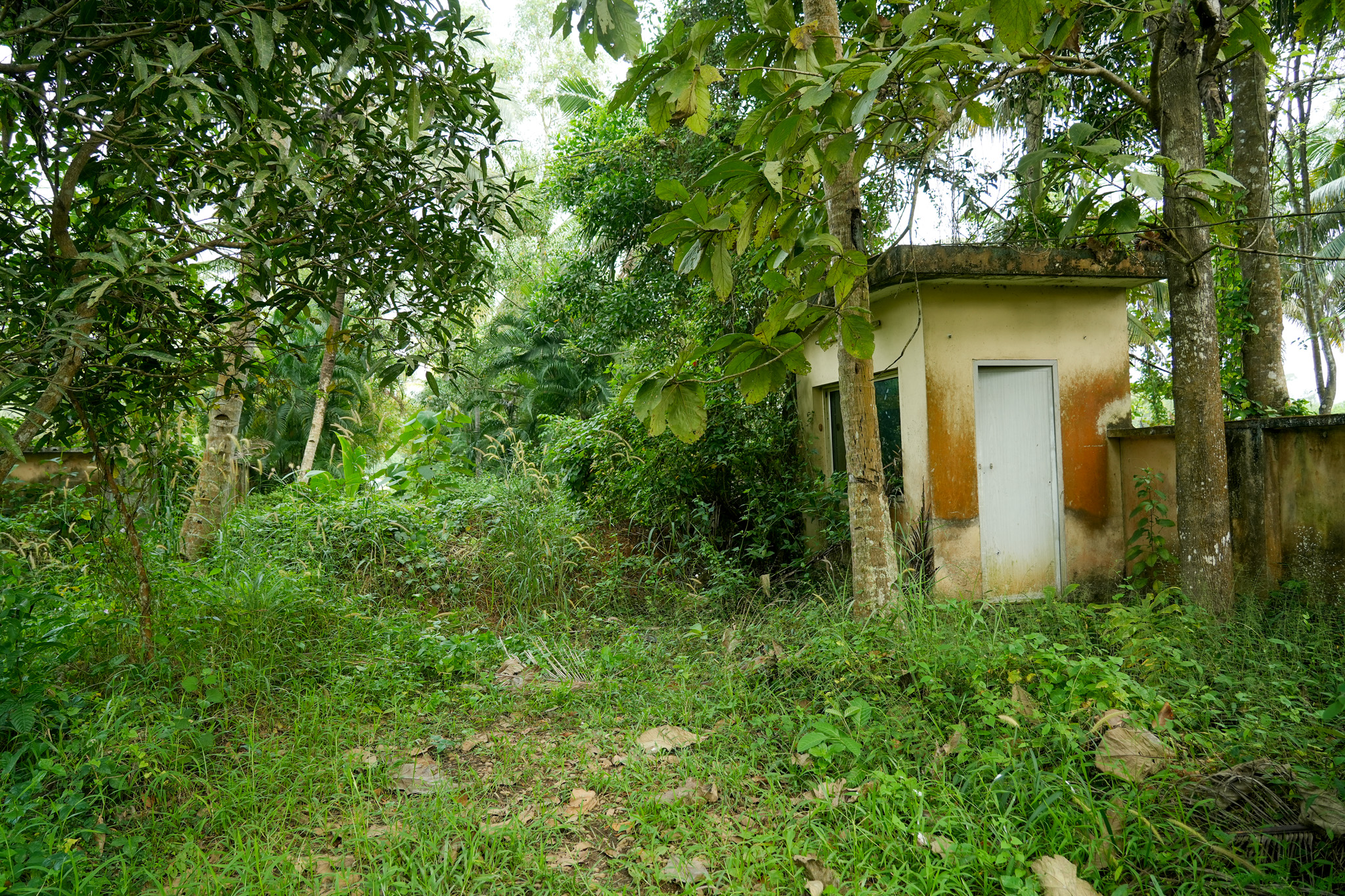 Farm House for sale in Chingoli Vllage, Karthikapally, Alappuzha Cheppad — photo 8