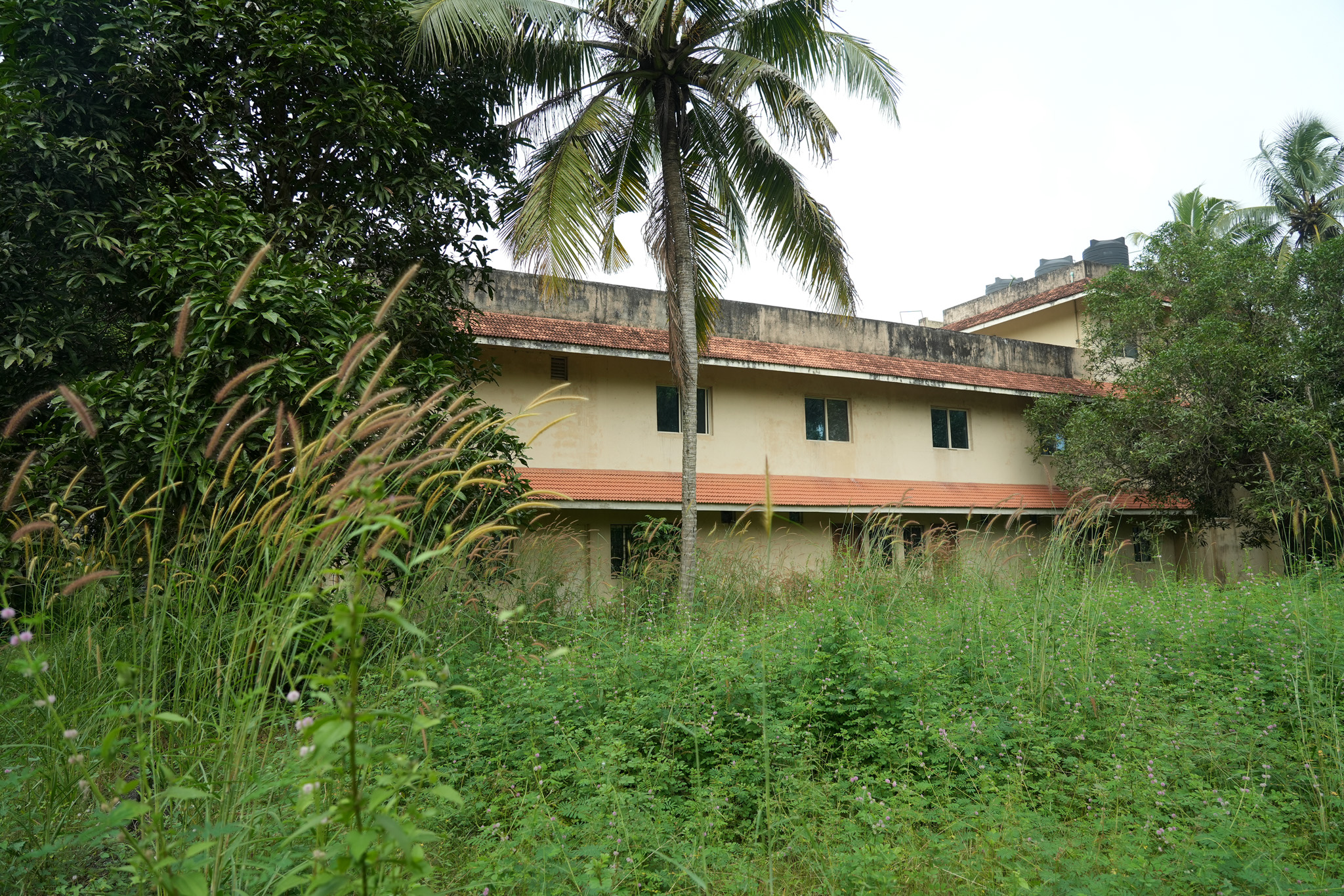 Farm House for sale in Chingoli Vllage, Karthikapally, Alappuzha Cheppad — photo 24