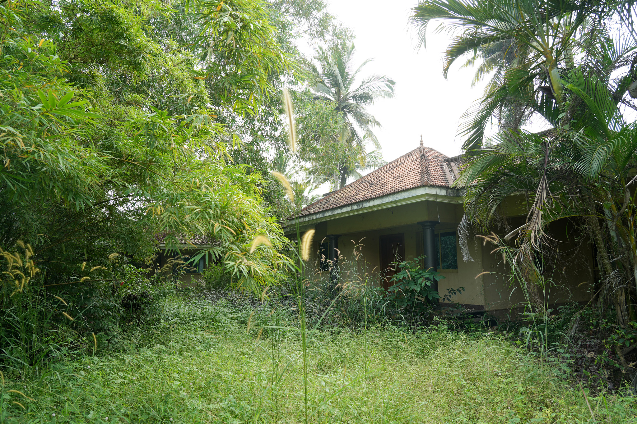 Farm House for sale in Chingoli Vllage, Karthikapally, Alappuzha Cheppad — photo 17
