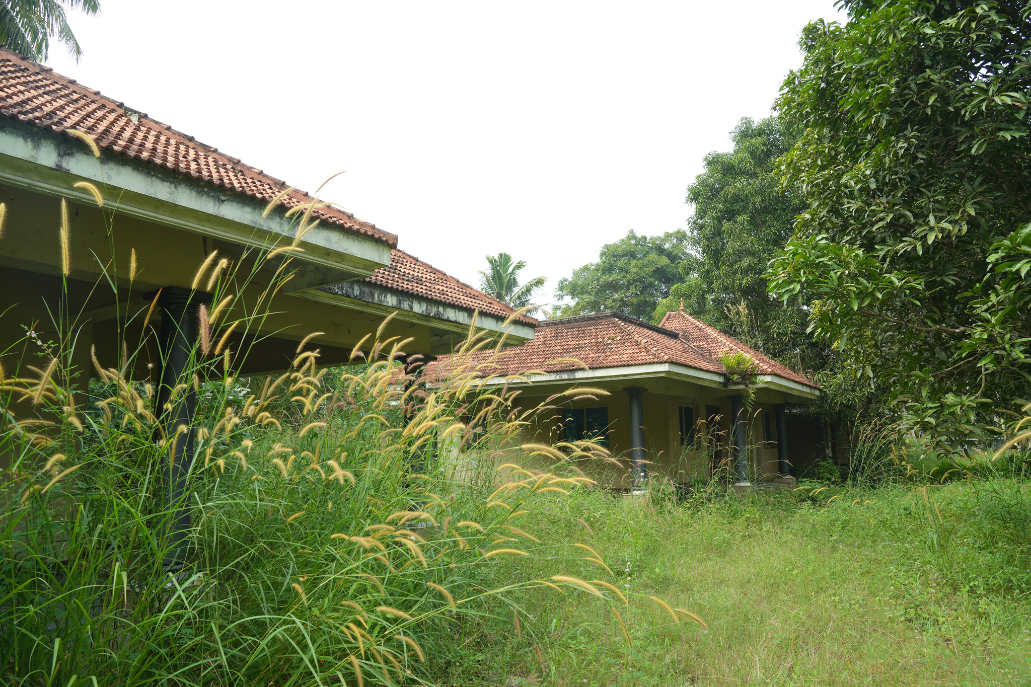 Farm House for sale in Chingoli Vllage, Karthikapally, Alappuzha Cheppad — photo 18