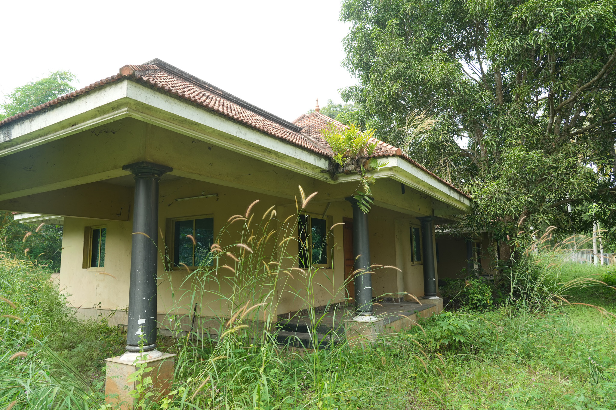 Farm House for sale in Chingoli Vllage, Karthikapally, Alappuzha Cheppad — photo 20