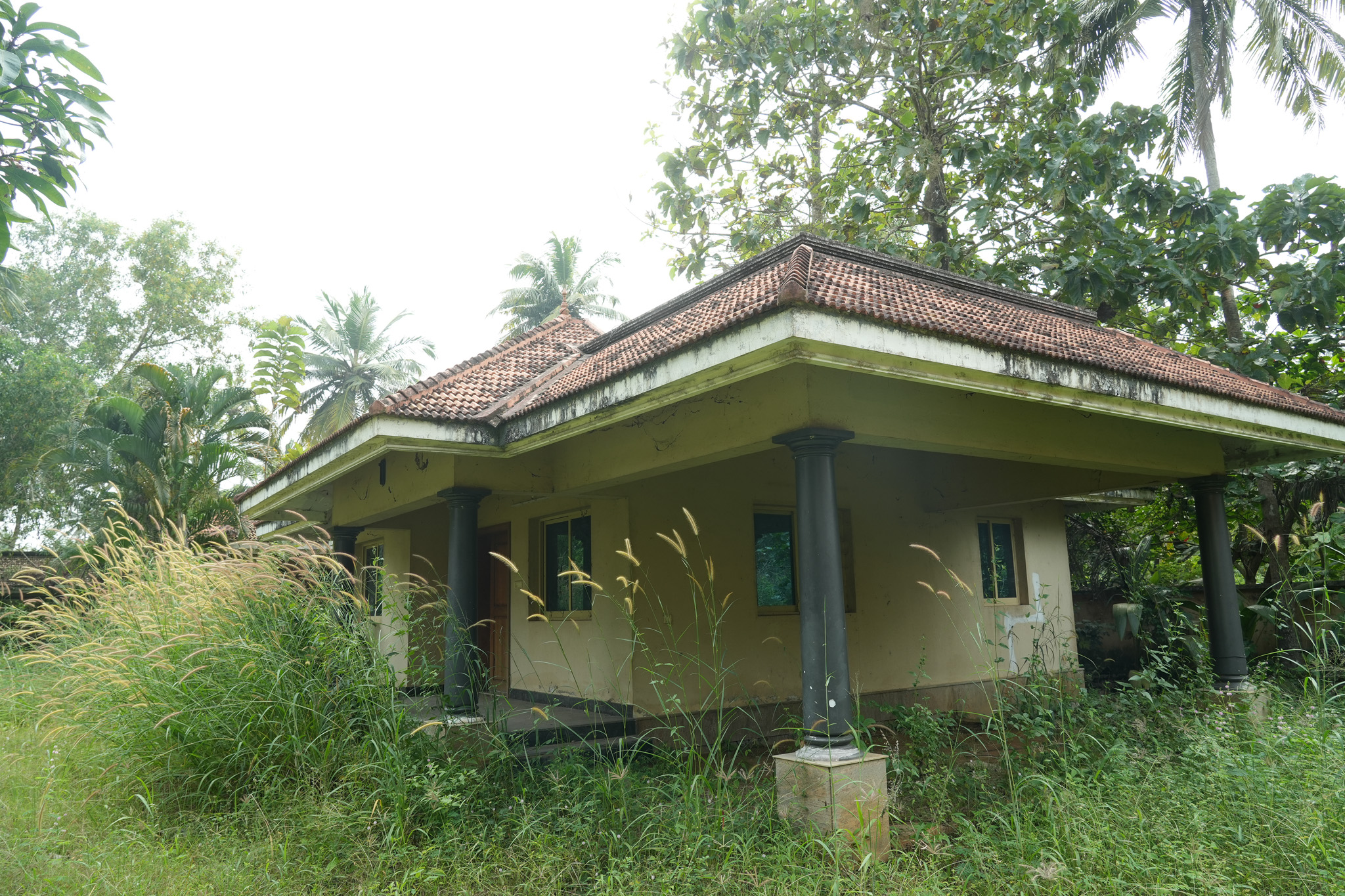 Farm House for sale in Chingoli Vllage, Karthikapally, Alappuzha Cheppad — photo 21