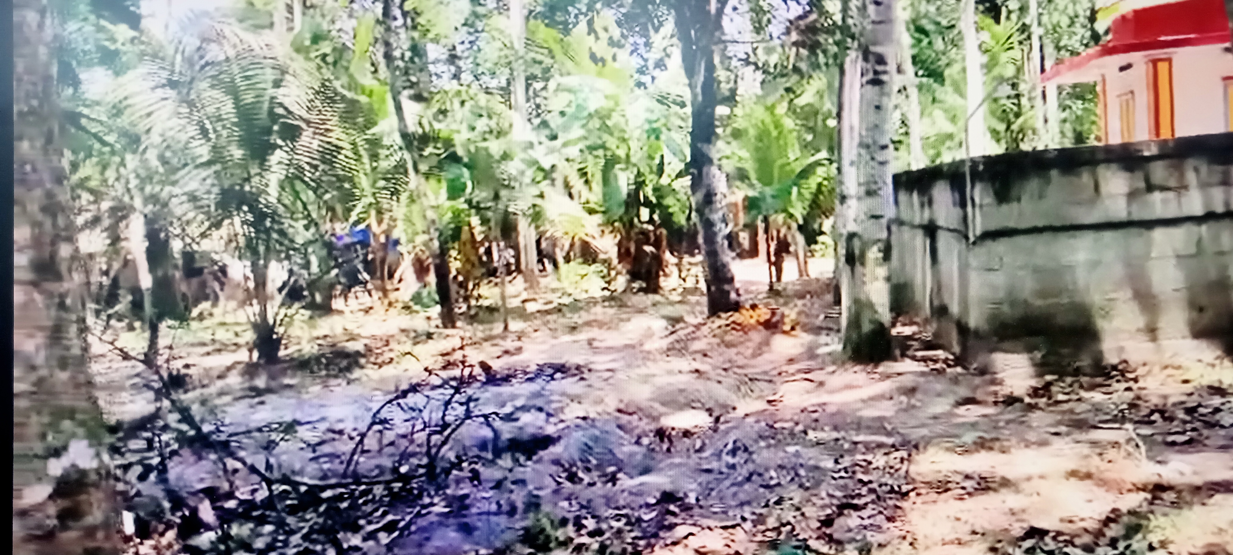Plot for sale in Kollam