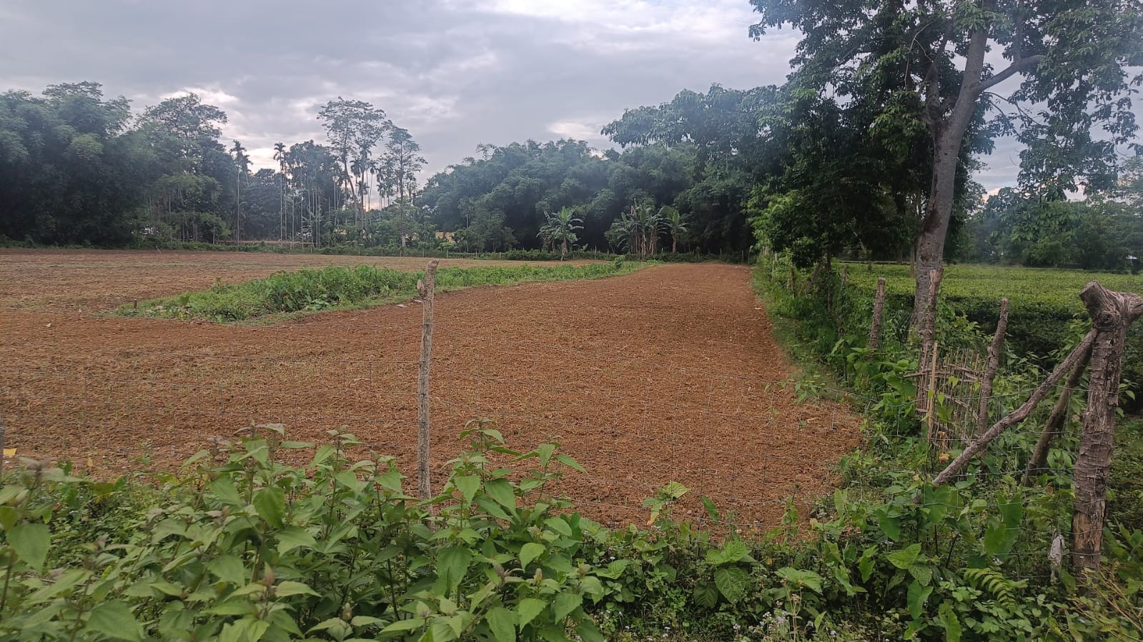 vacant land for sale in Moranhat