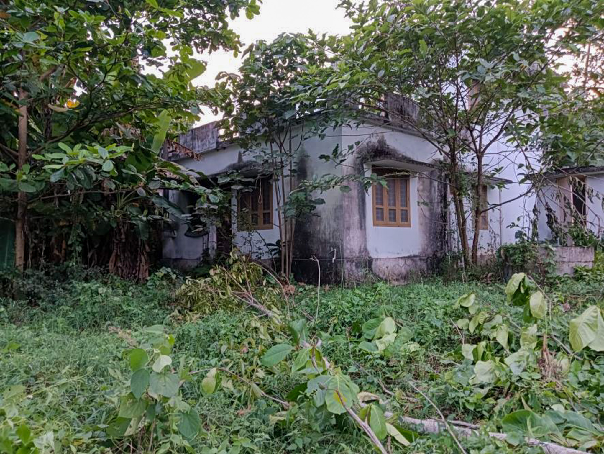 Individual House for sale in Adichanalloor
