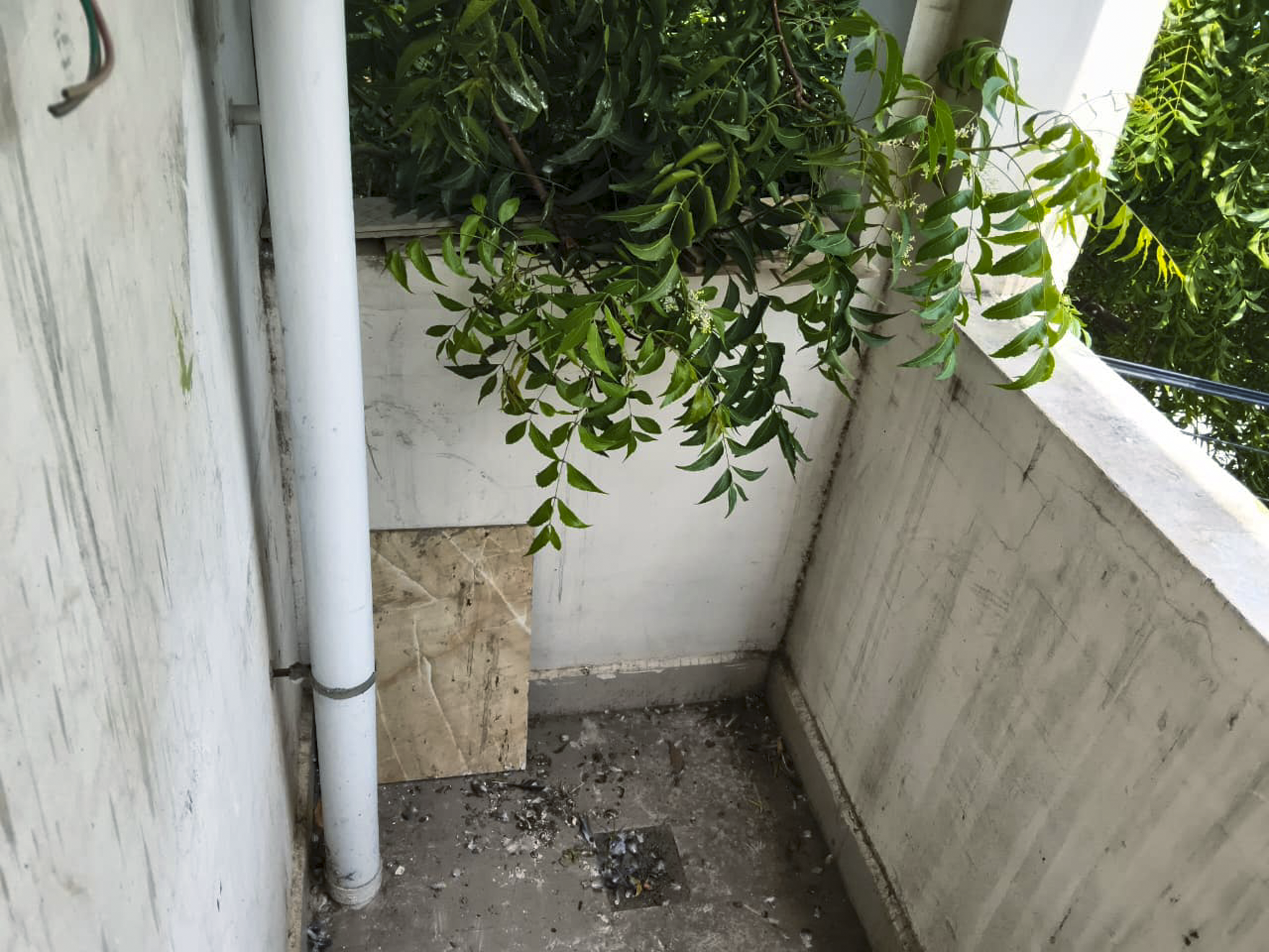 995 square feet Flat for sale in Chennai — photo 13