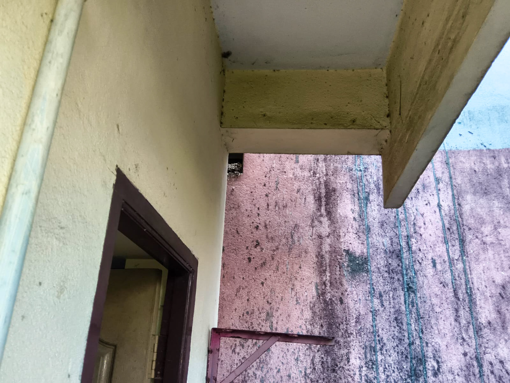 950 square feet Flat for sale in Chennai — photo 3