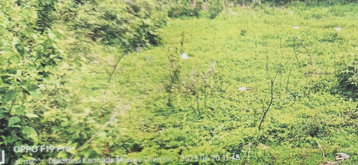 VACANT LAND for sale in Puttur
