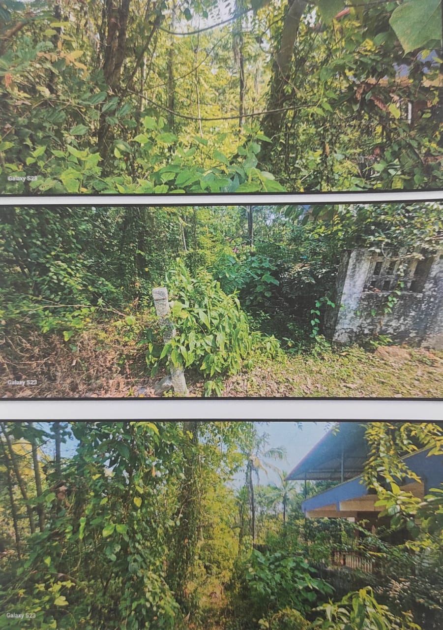 VACANT LAND for sale in Puttur