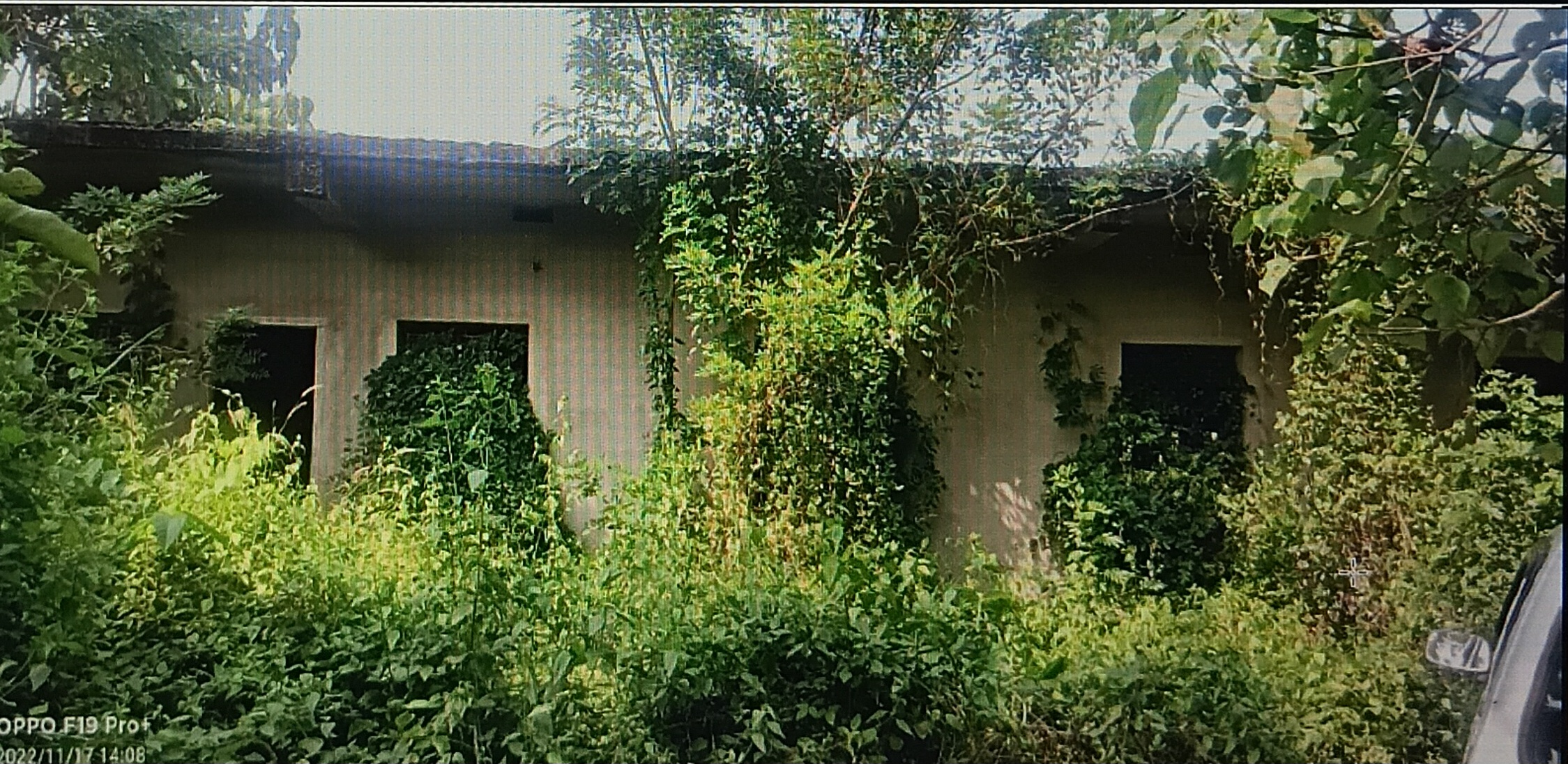 others for sale in Puttur