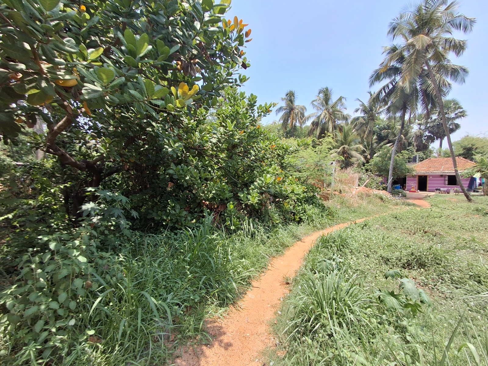 Plot for sale in Mangaluru