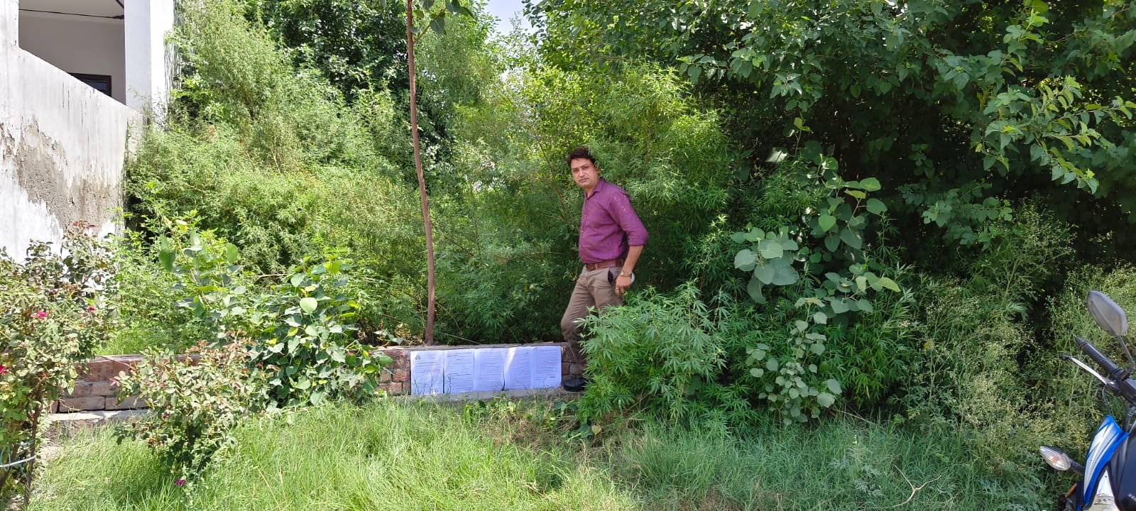 302.5 square yard Plot for sale in Nakodar — photo 1