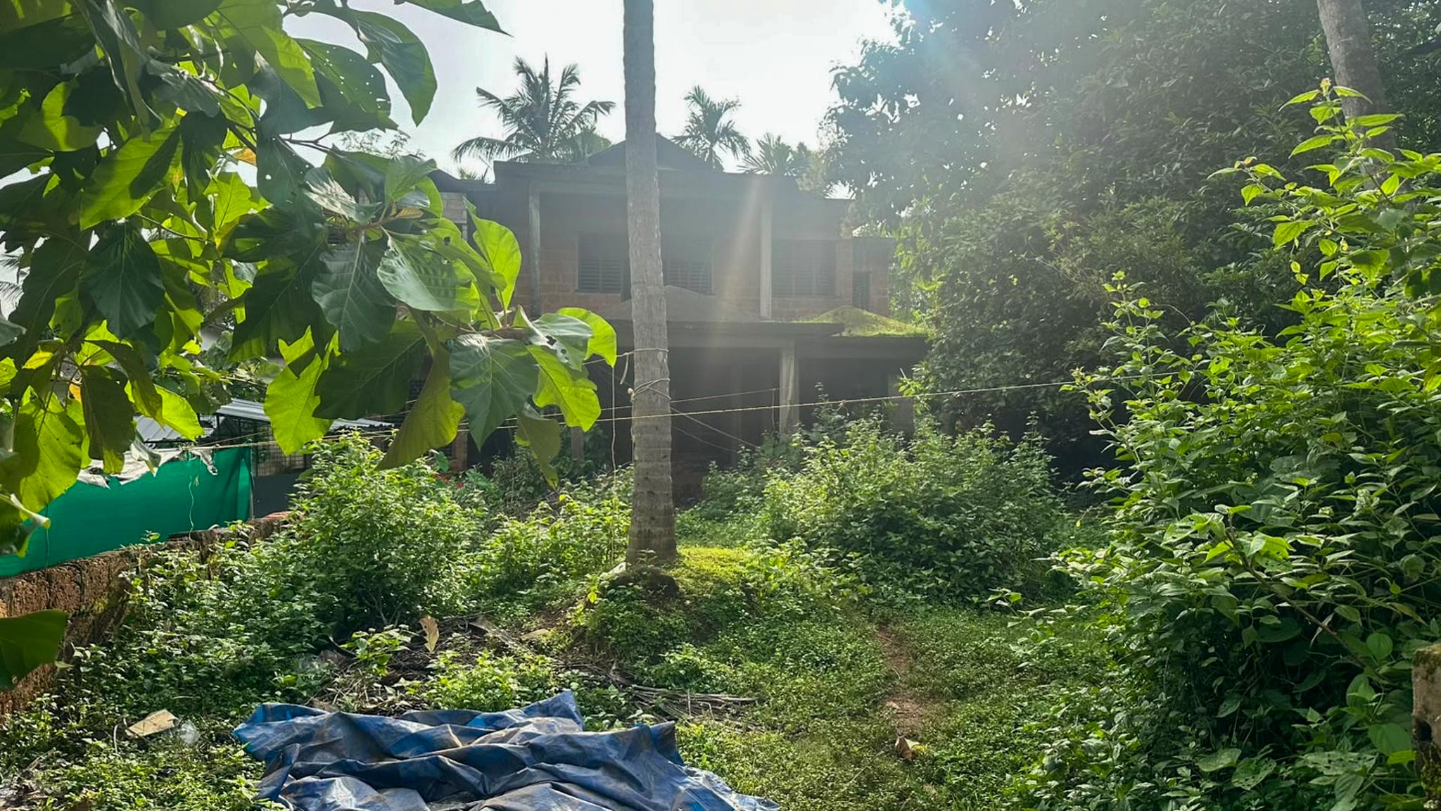 1300 square feet Individual House for sale in Surendran, Chokli Village Chockli — photo 4