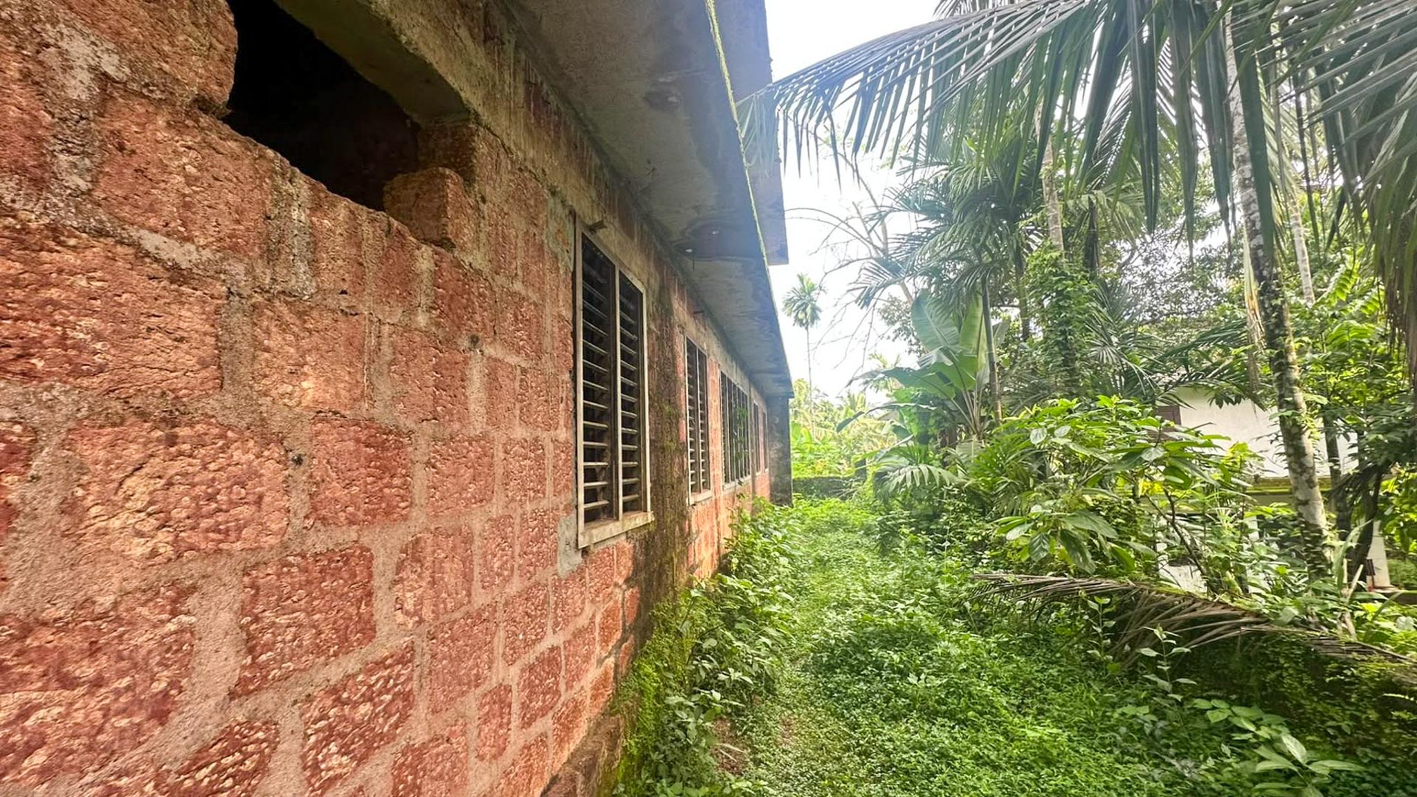 1300 square feet Individual House for sale in Surendran, Chokli Village Chockli — photo 16