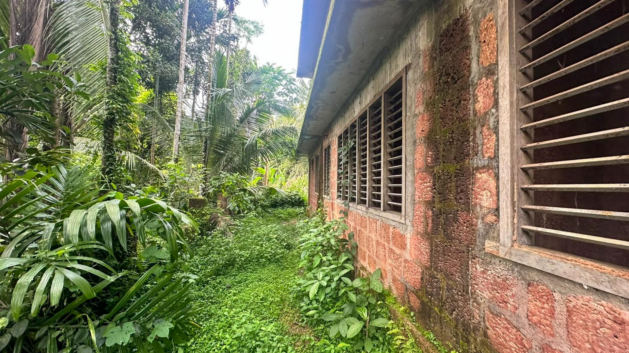 1300 square feet Individual House for sale in Surendran, Chokli Village Chockli — photo 18
