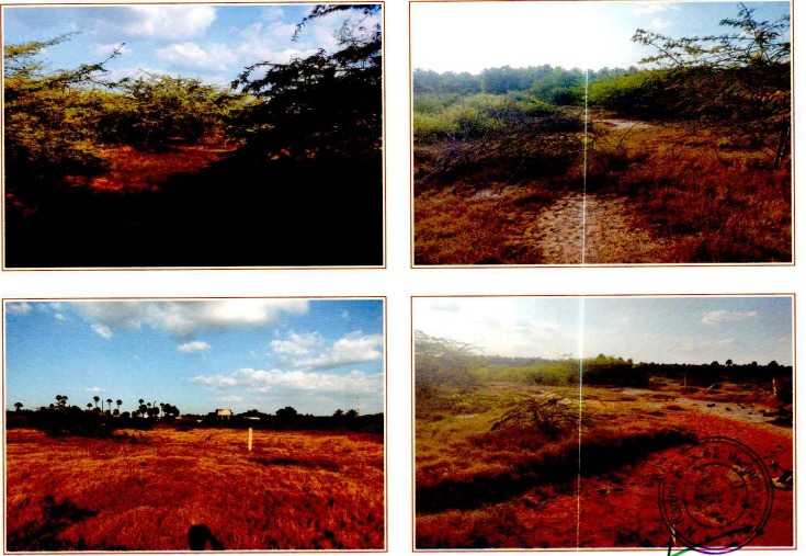 Plot for sale in Aravakurichi