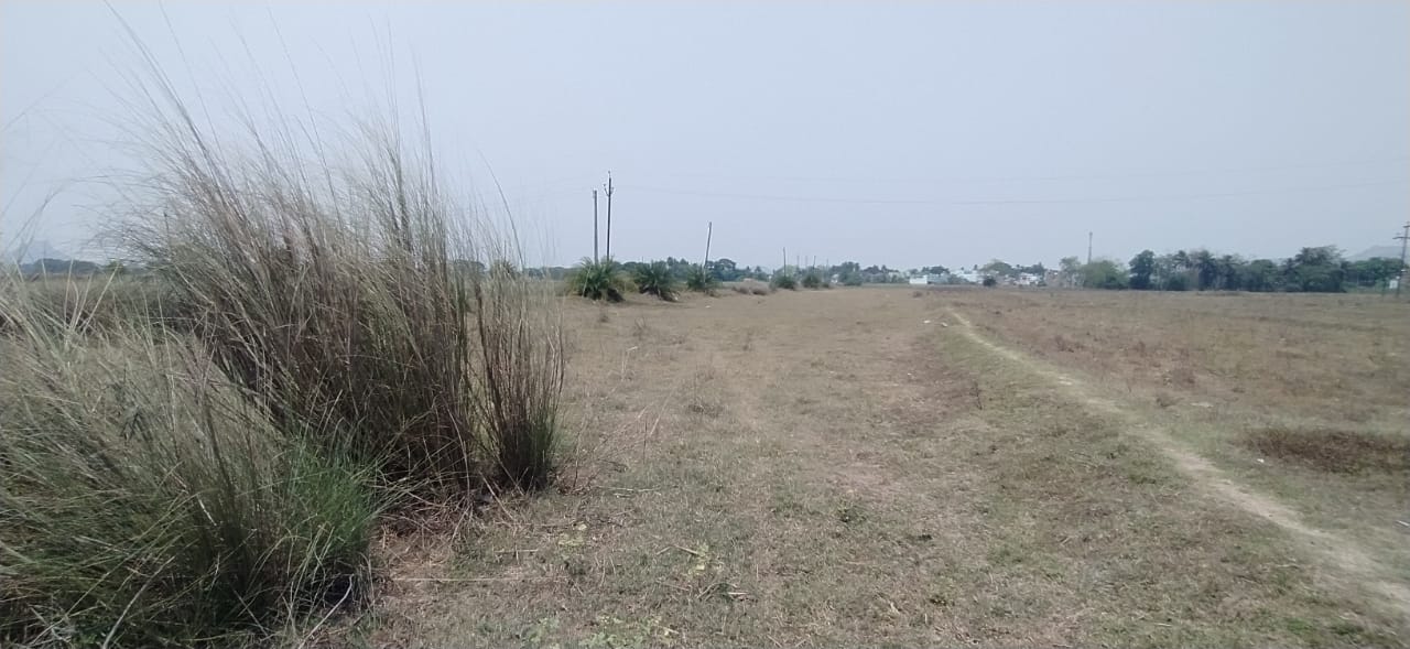 Plot for sale in Asika