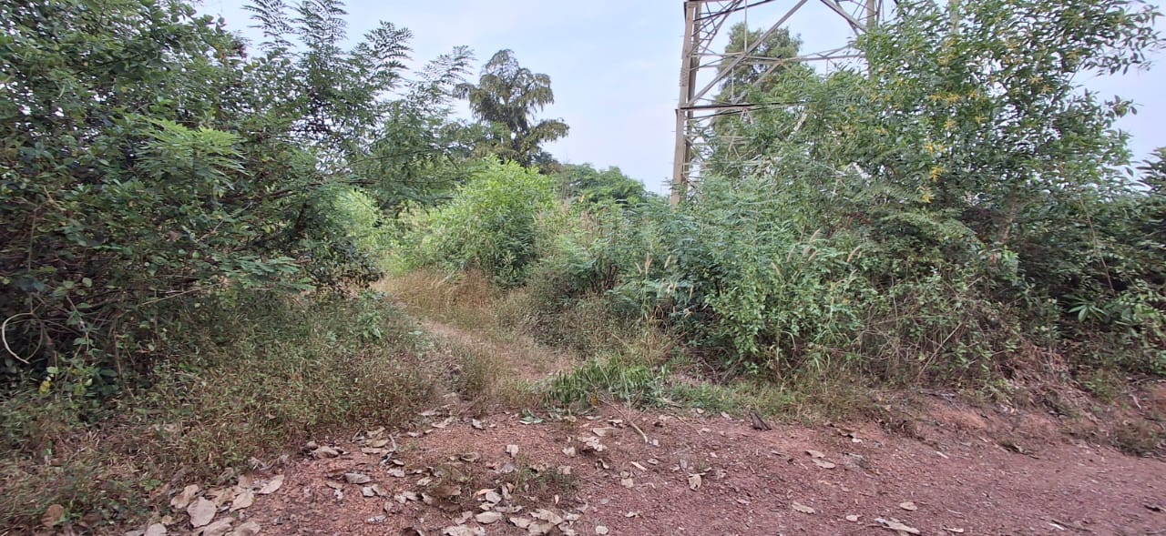 VACANT LAND for sale in Chelora