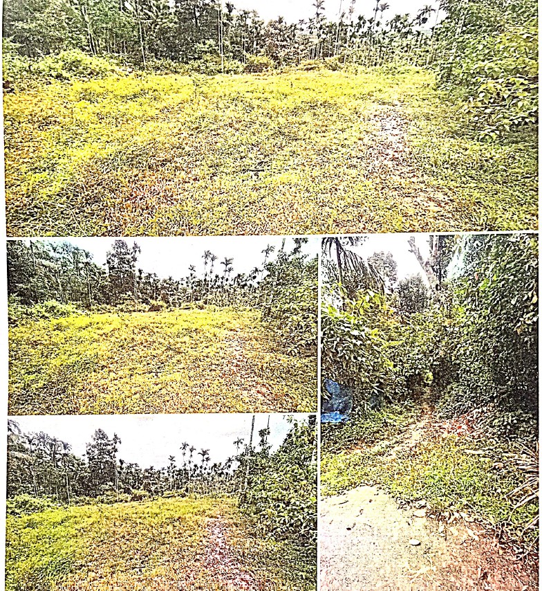40.48 Ares PLOT FOR SALE IN Noolpuzha Village Sulthan Bathery Wayanad for sale in Noolpuzha Sulthan Bathery Sulthan Bathery