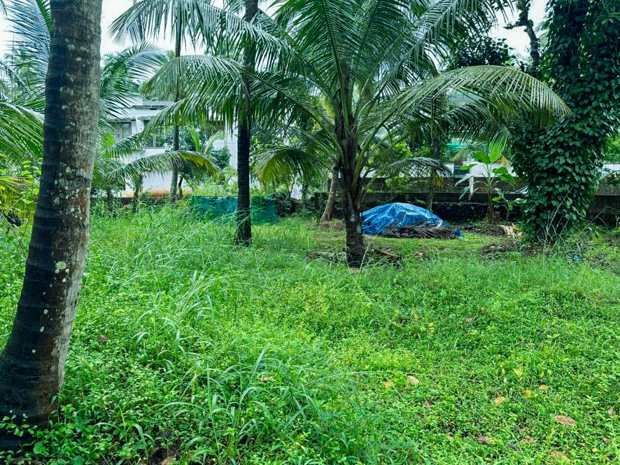 Individual House for sale in Kondotty Chelambra