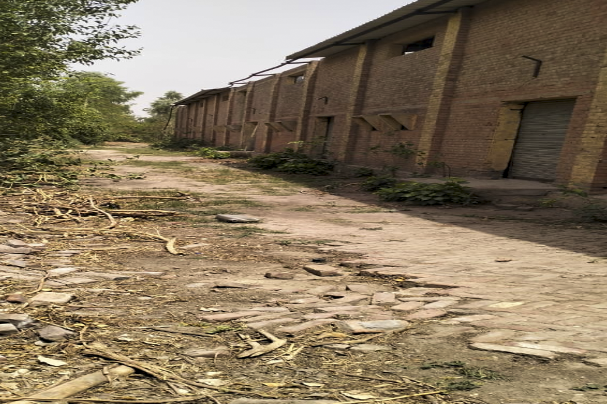 9680 square yard Godowns for sale in Gumaniwala Road Jalalabad