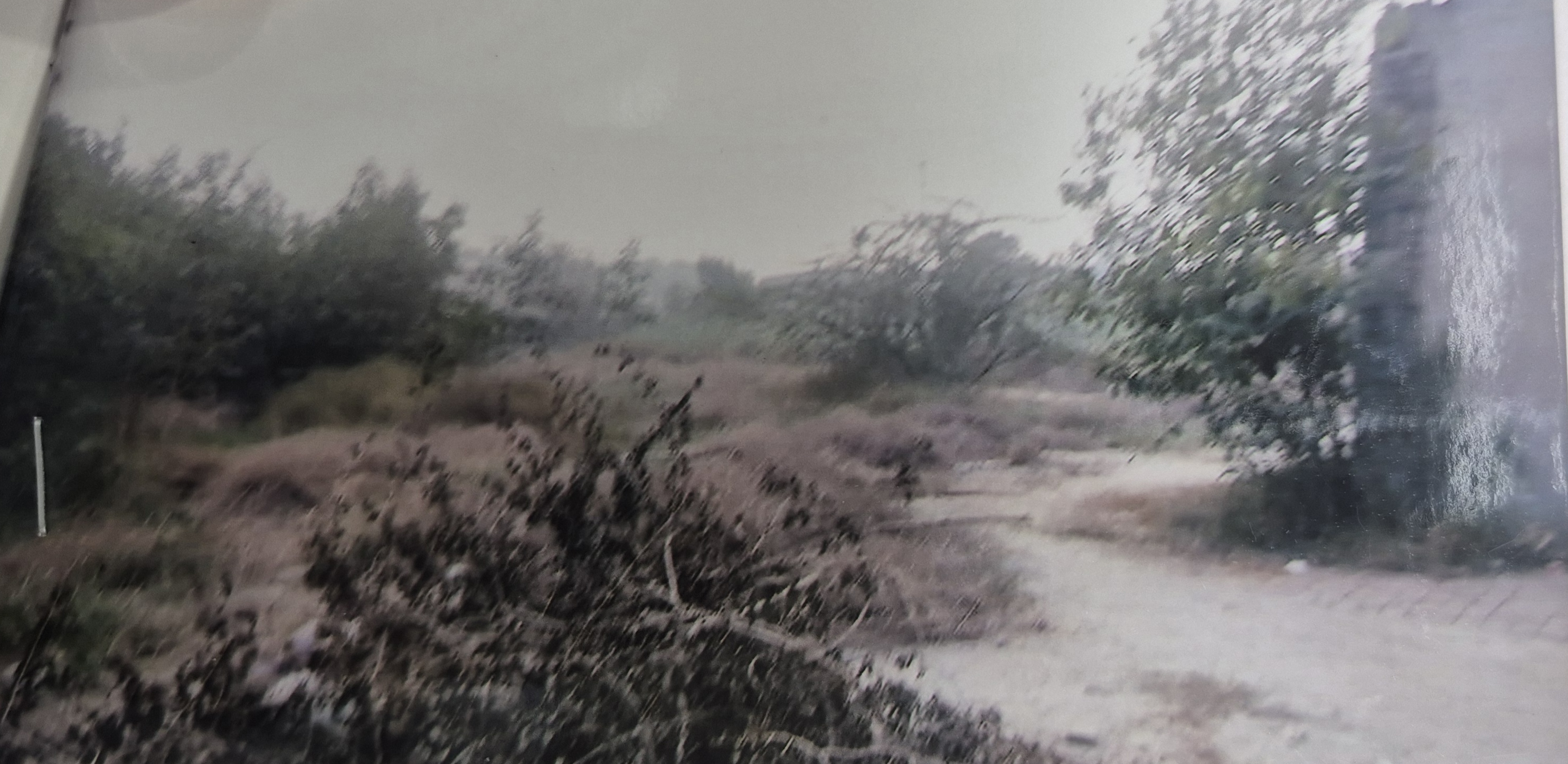 3043 square yard Plot for sale in Jalalabad Jalalabad