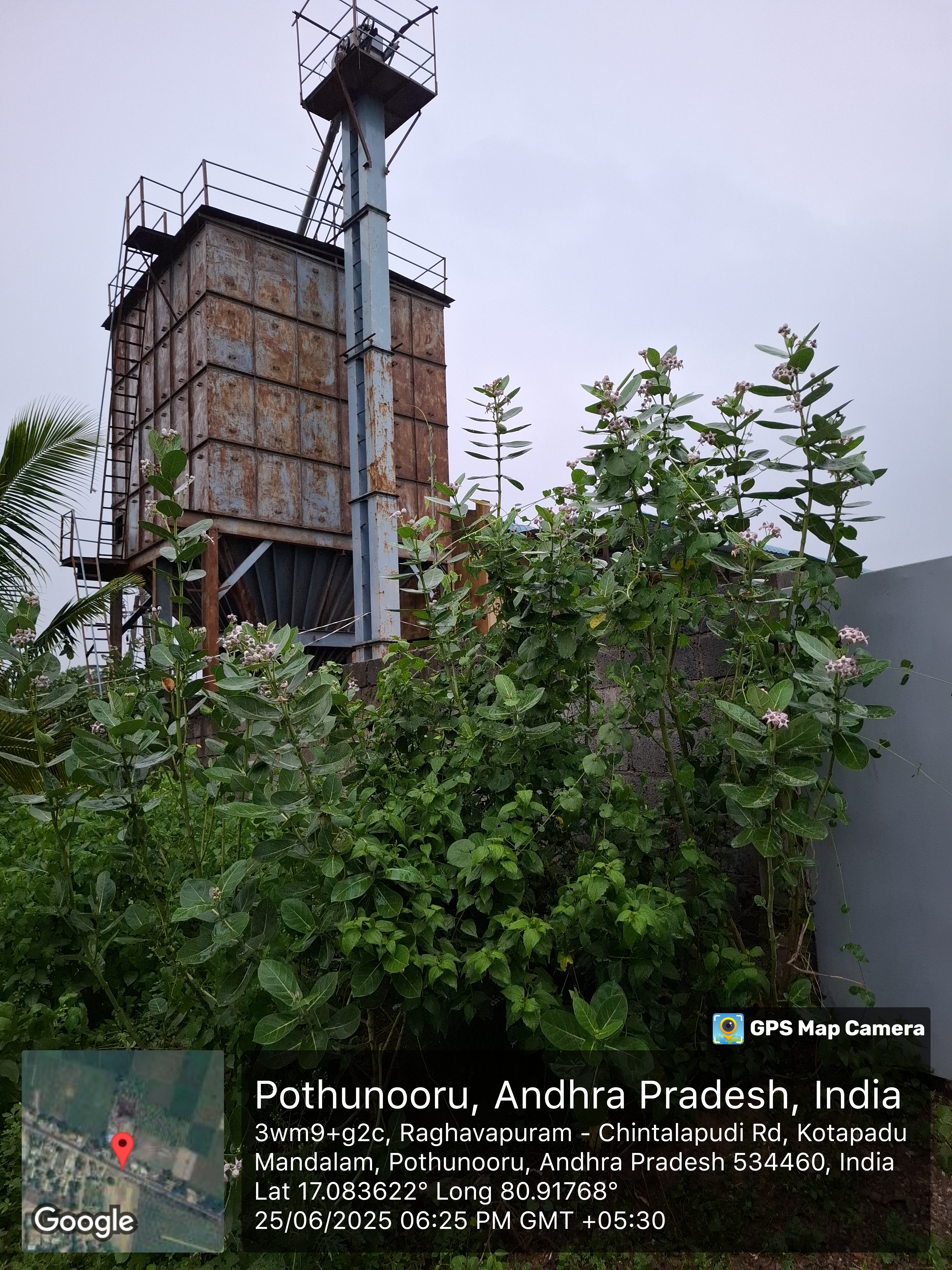 7756.62 square yard RICE MILL for sale in Potnuru Village, Chintalapudi Mandal Eluru