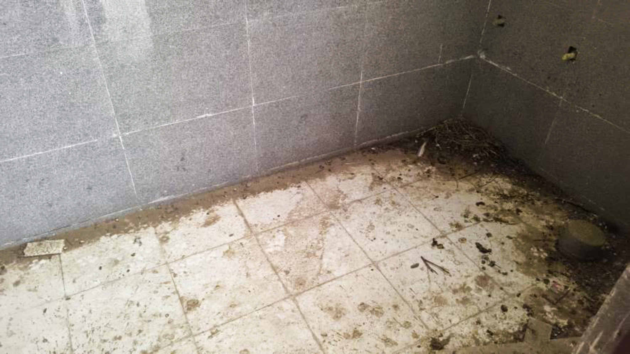 Flat for sale in JAIPUR Jaipur — photo 15