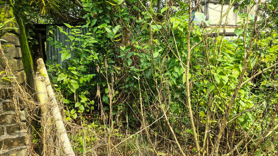 Individual House for sale in Krishnanagar