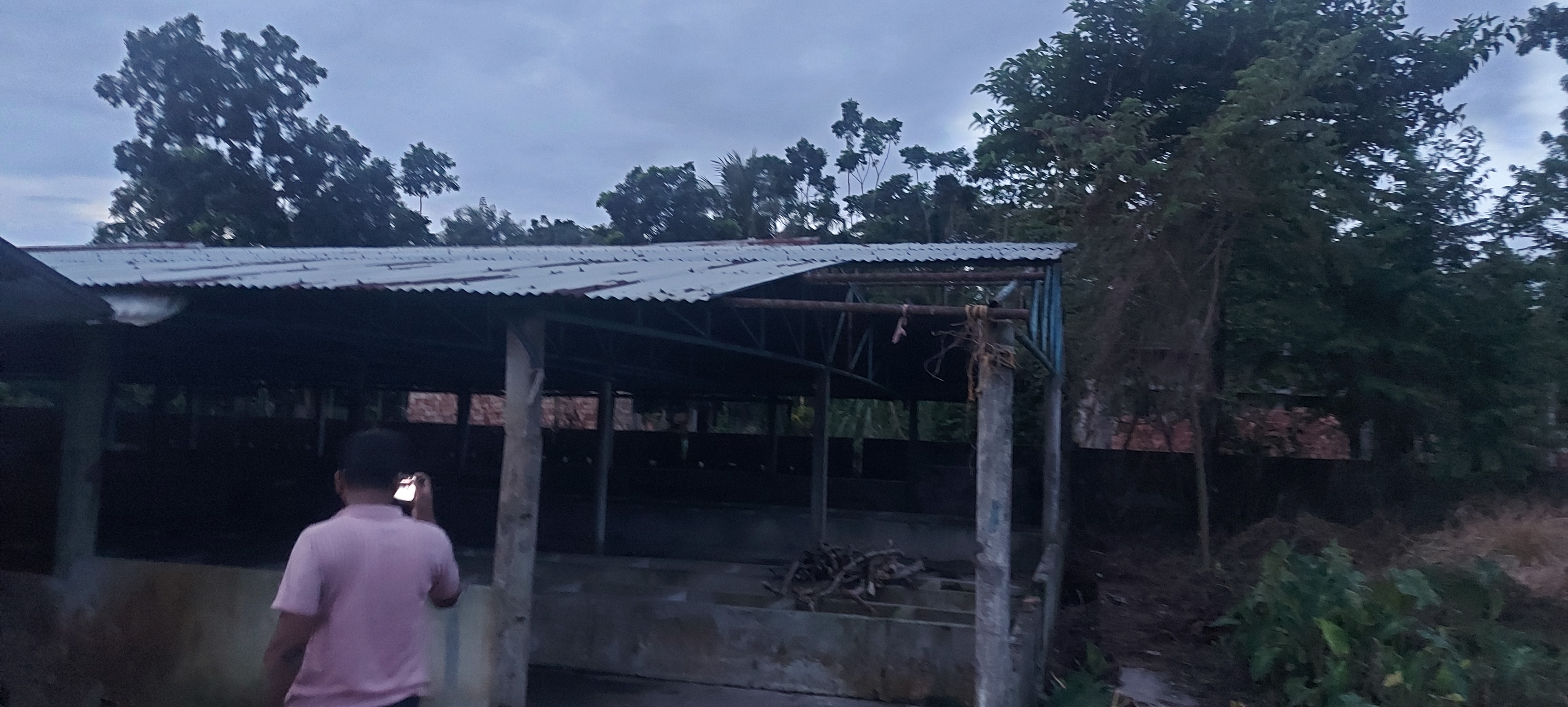 Danga land used for dairy firm for sale in Matikumra, P.S- Gaighata Gobardanga — photo 1