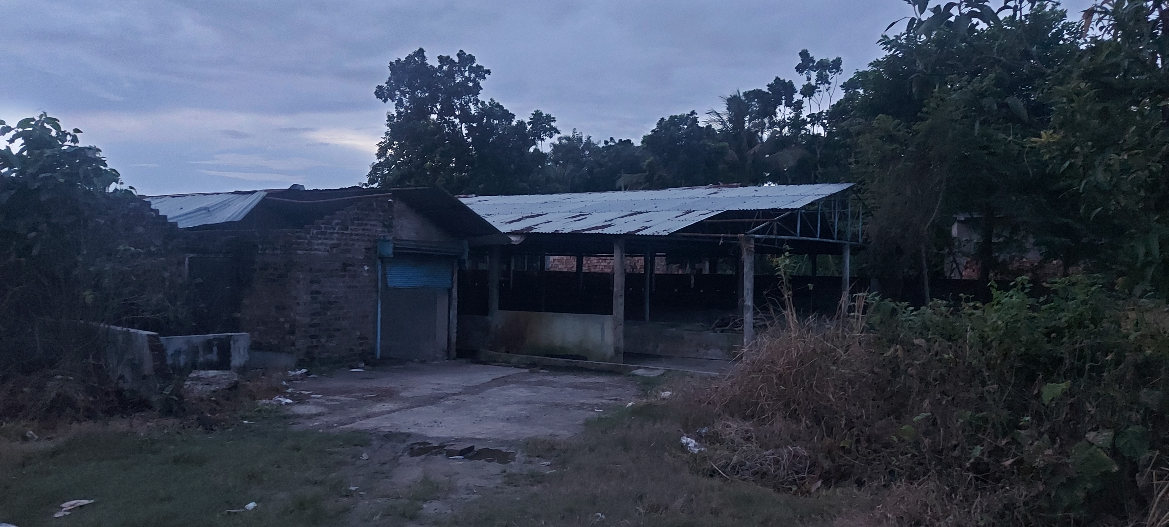 Danga land used for dairy firm for sale in Matikumra, P.S- Gaighata Gobardanga — photo 5
