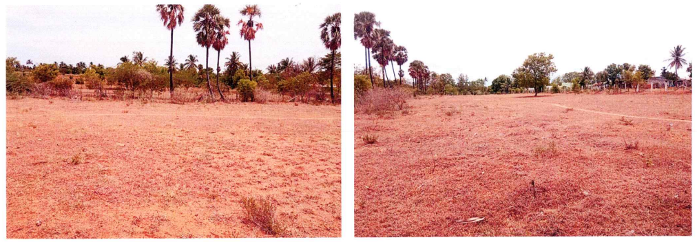VACANT LAND for sale in Punjaipuliampatti — photo 4