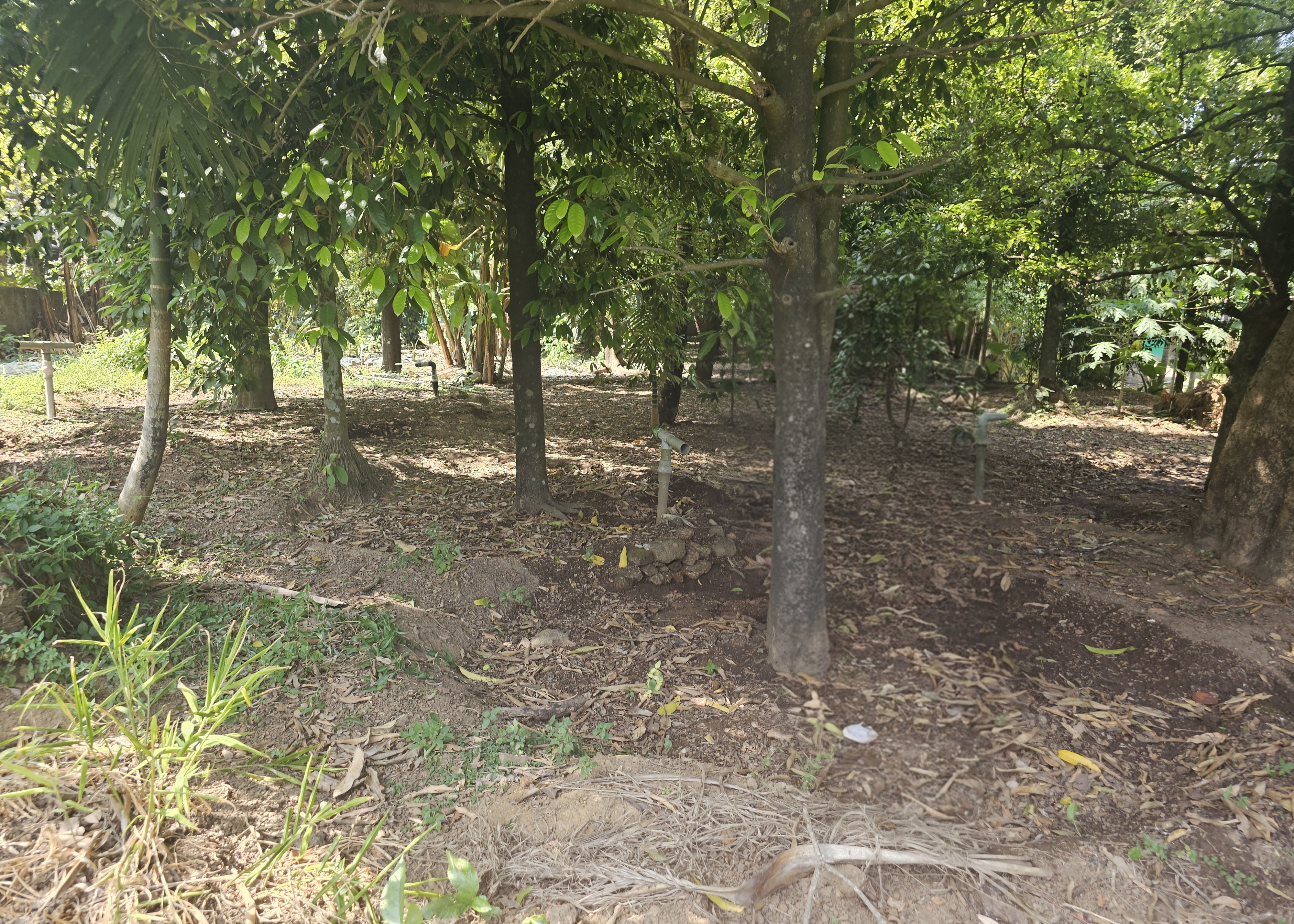 LAND ONLY for sale in Chowwara — photo 3