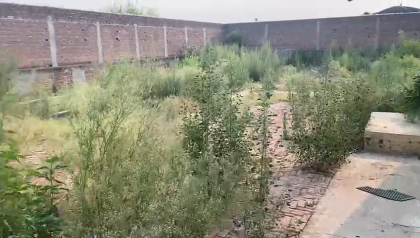 Godowns for sale in Nawanshahar Nawanshahr