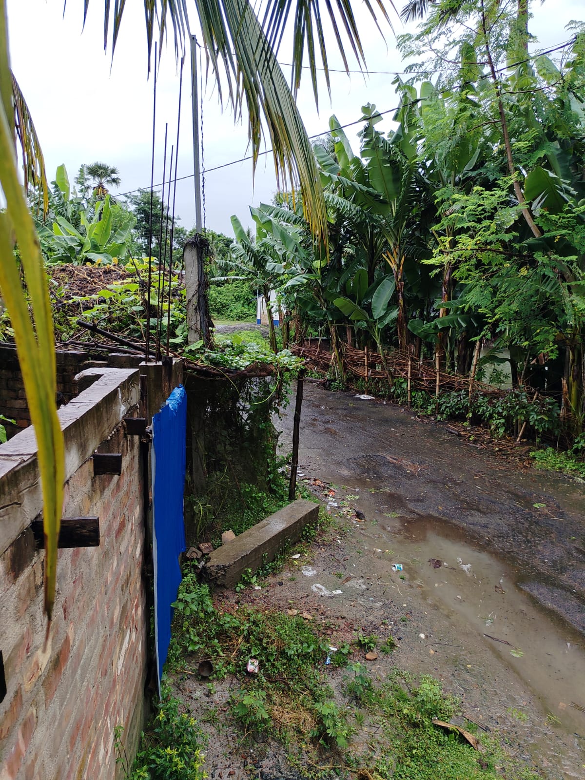 3049 square feet Plot for sale in BAGANATI HIGH SCHOOL Minakhan — photo 4