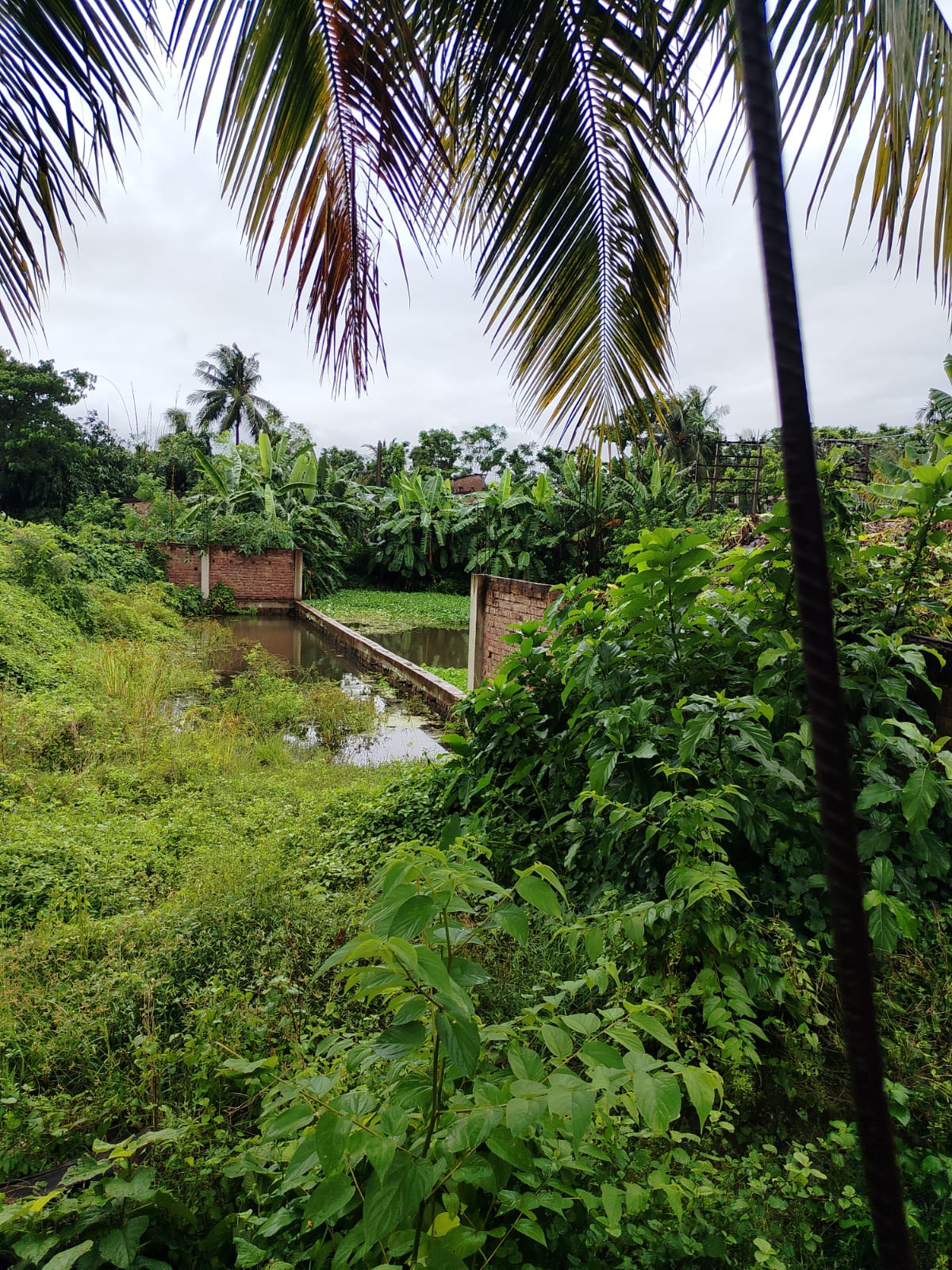 3049 square feet Plot for sale in BAGANATI HIGH SCHOOL Minakhan