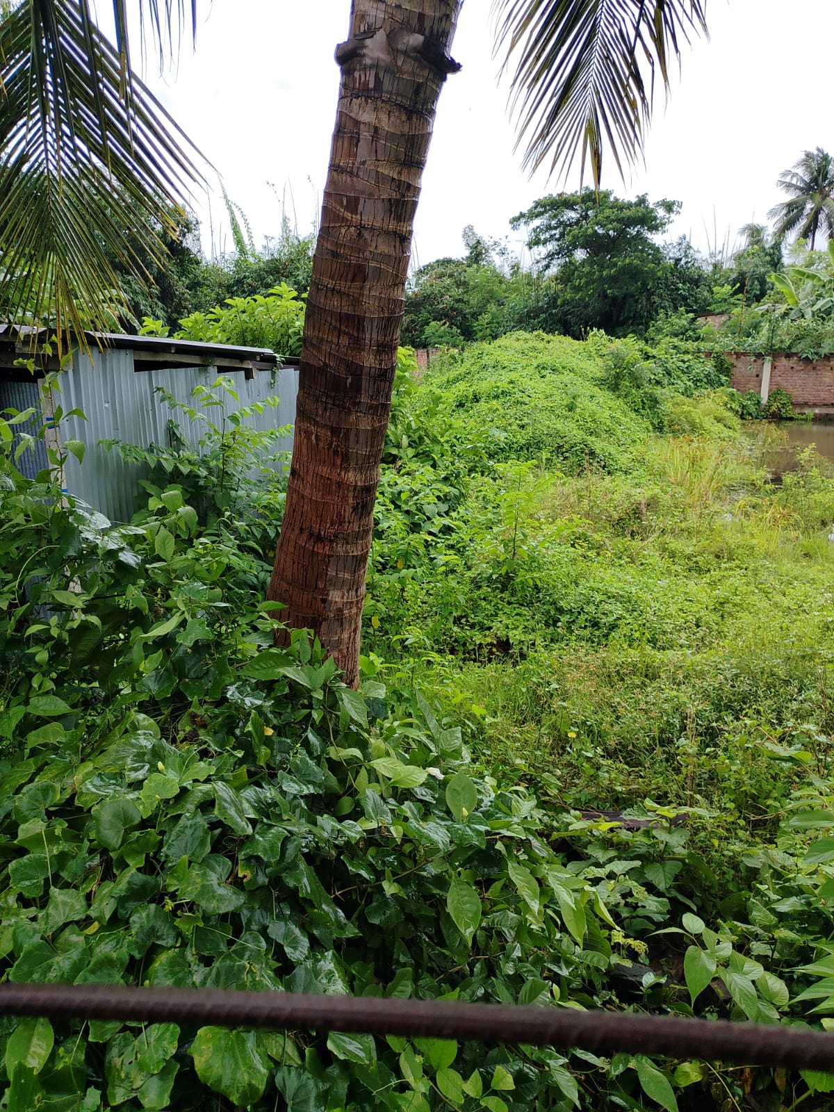 3049 square feet Plot for sale in BAGANATI HIGH SCHOOL Minakhan — photo 2
