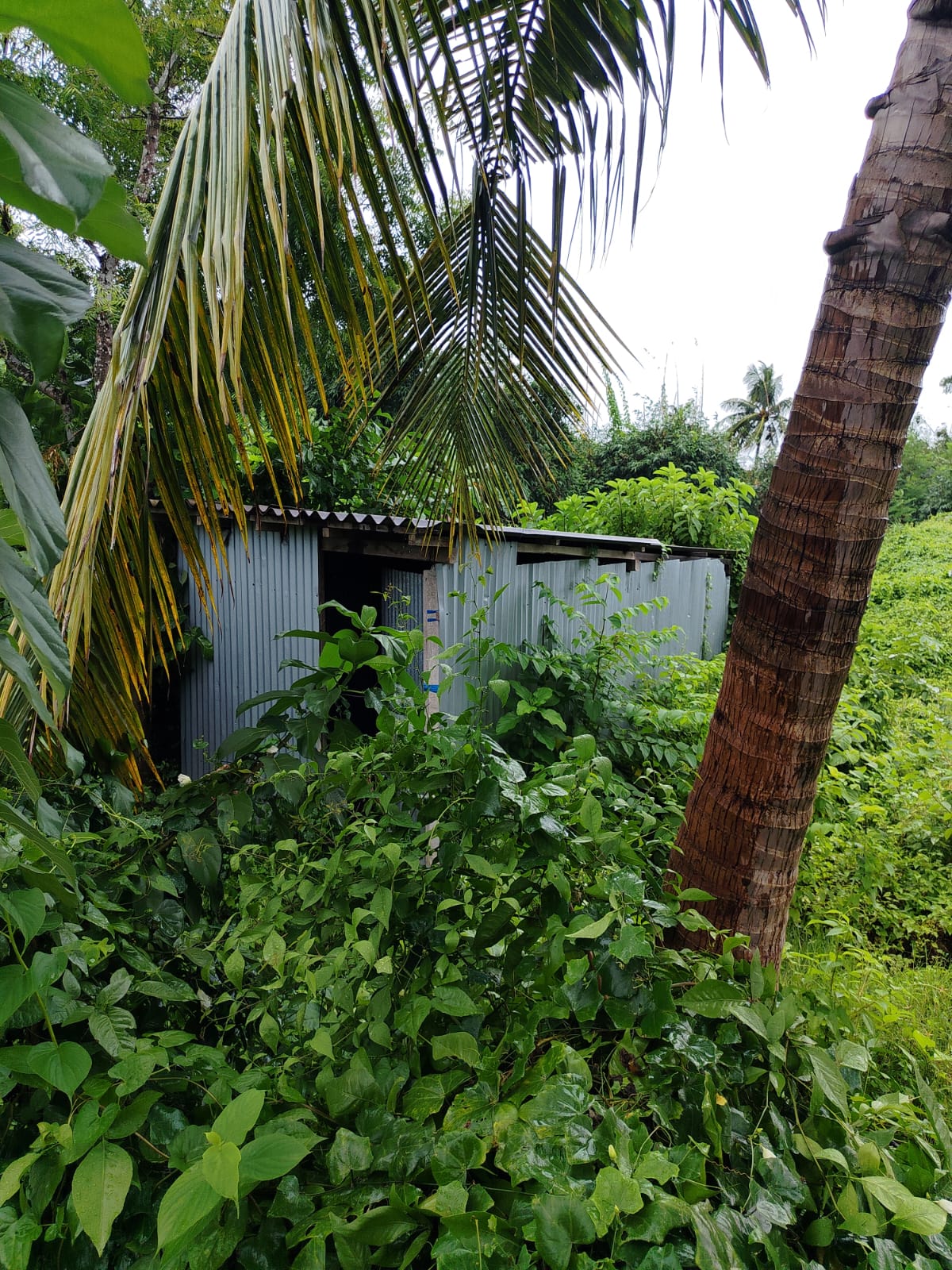 3049 square feet Plot for sale in BAGANATI HIGH SCHOOL Minakhan — photo 5