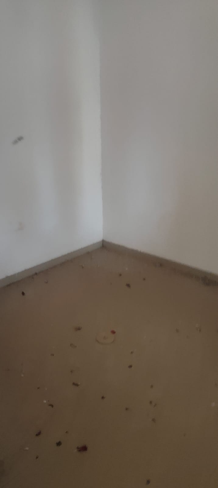 618 square feet Flat for sale in Chakan — photo 4