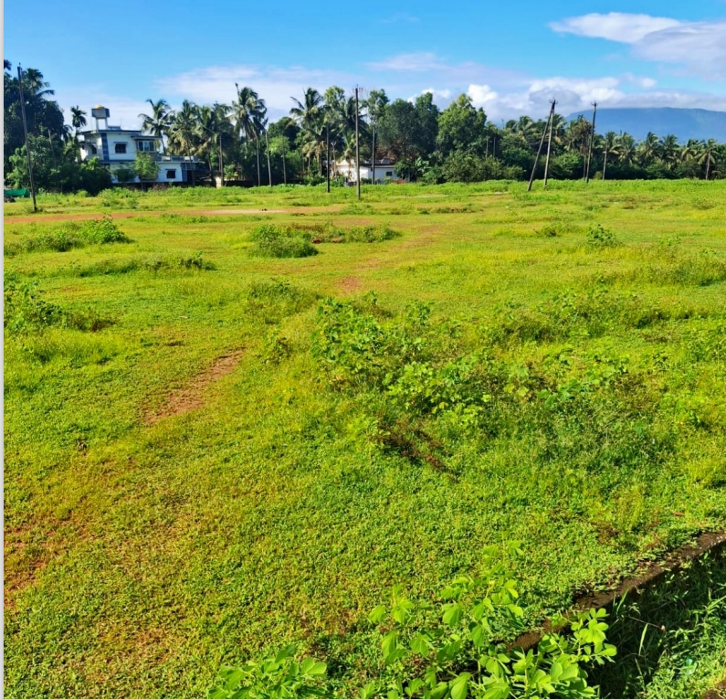 Plot for sale in kambadakone village baindoor